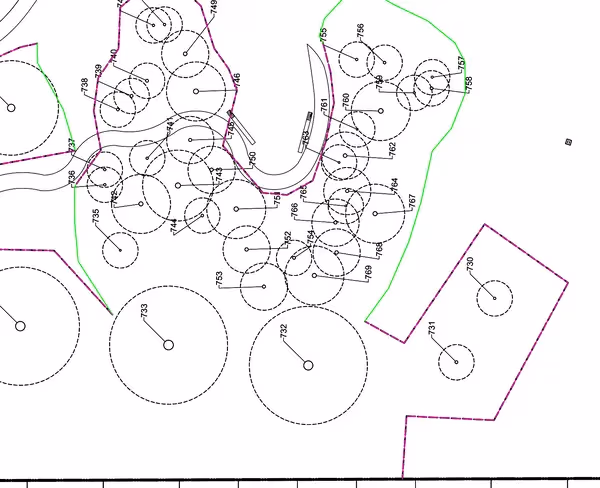 Dense cluster of mapped tree canopies along a surveyed site boundary